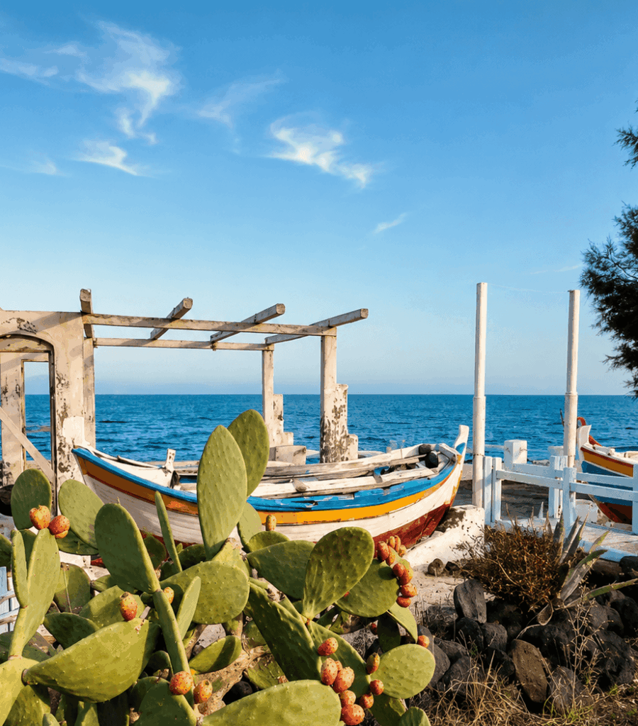 Premium Γευσιγνωσία Ασύρτικου της Γαίας (4 Κρασιά) - Οινοποιείο Σαντορίνης