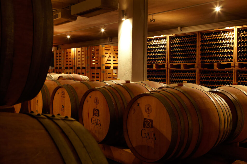 Village Flavors: A Rustic Wine-Paired Lunch