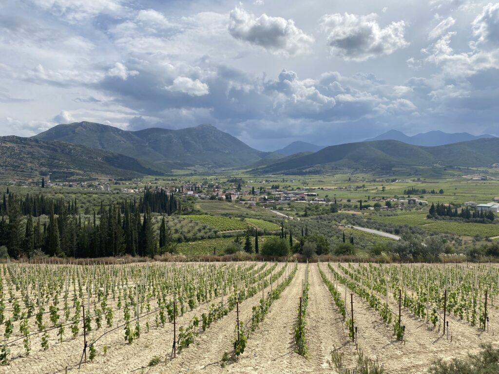 Αμπελώνες GAIA στη Νεμέα σε αρμονία με το φυσικό περιβάλλον