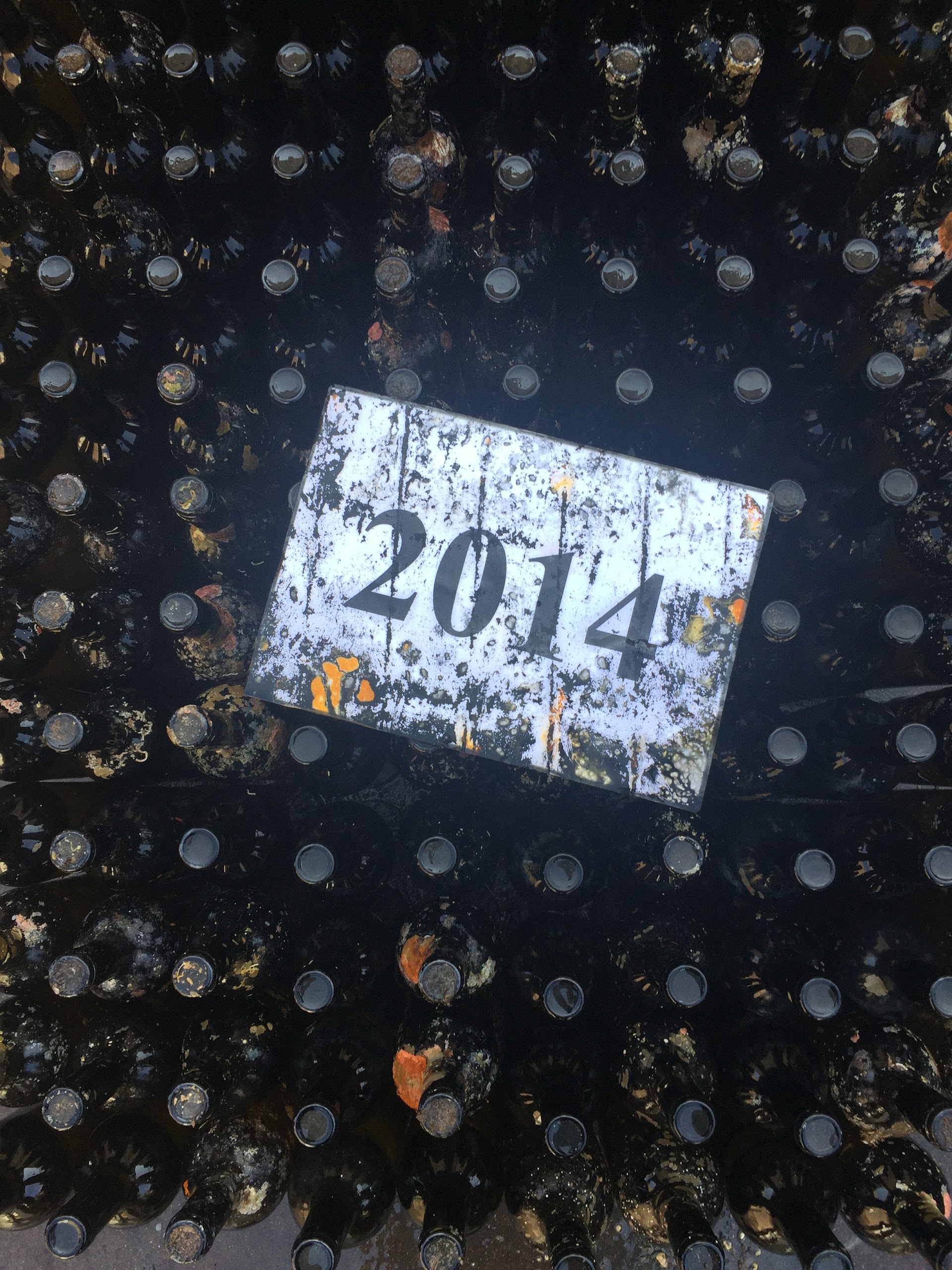 Κλουβί 2014