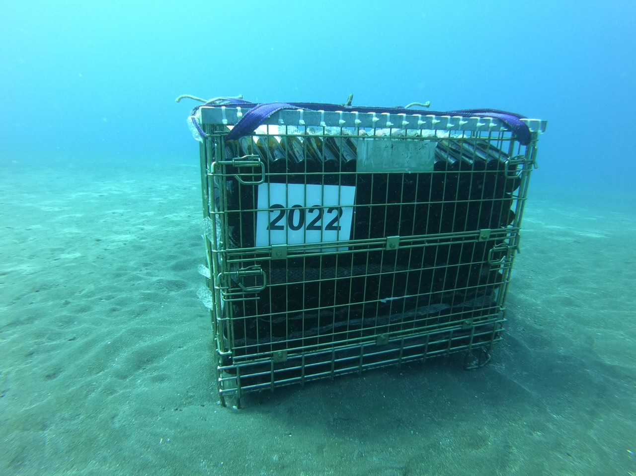Κλουβί του 2022 στον βυθό