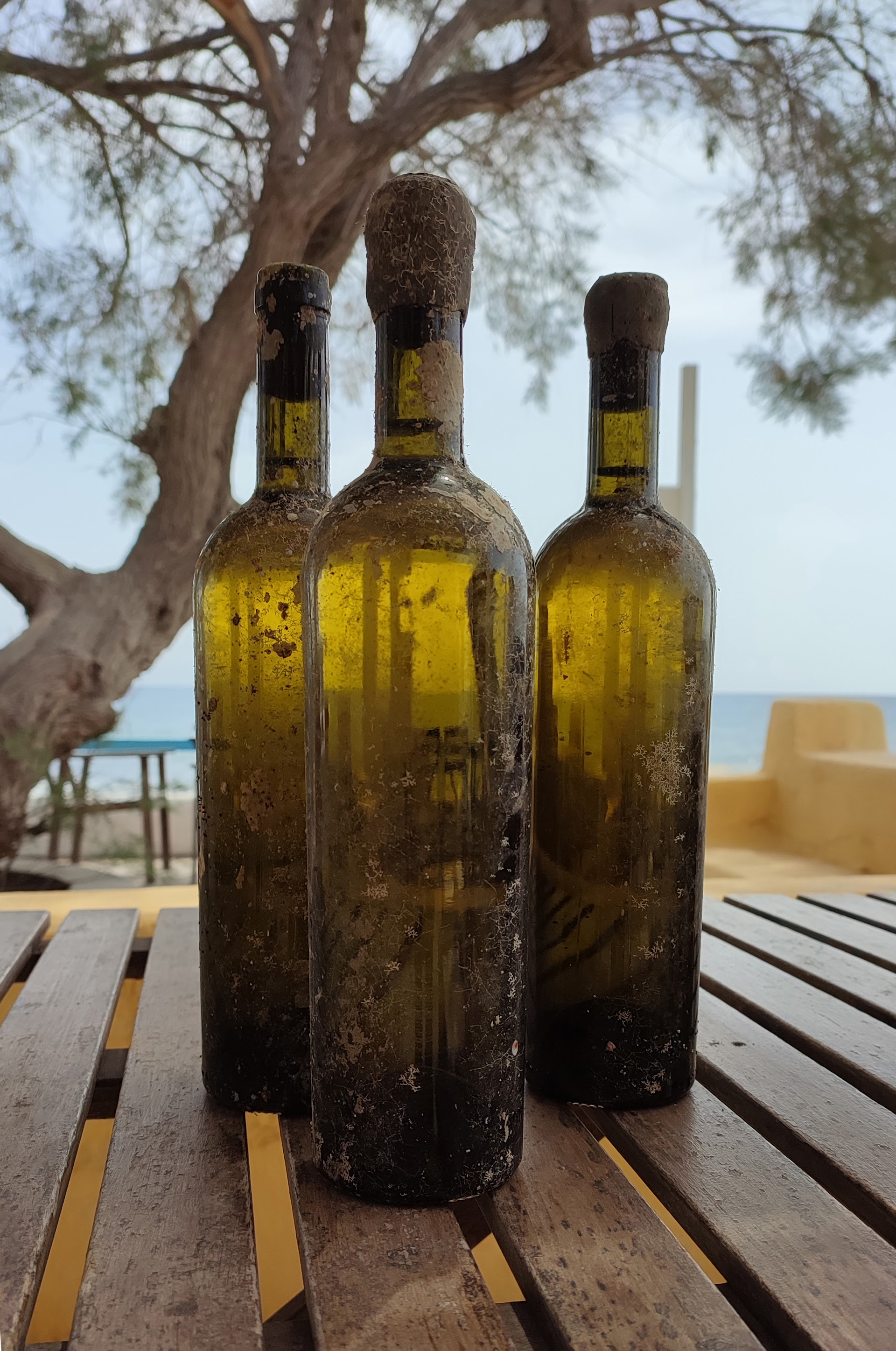 Φιάλες στο κλουβί